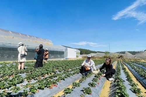 Du lịch nông nghiệp - sức bật mới cho ngành du lịch tỉnh Thừa Thiên Huế