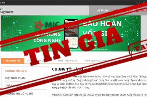 Trung tâm Xử lý tin giả Việt Nam cảnh báo những website chuyên lừa đảo