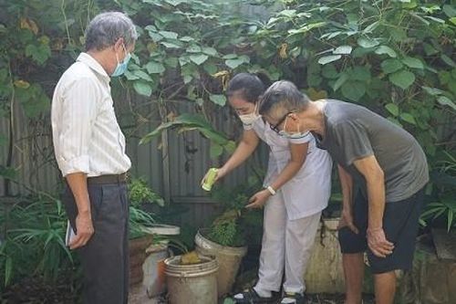 Hà Nội đã ghi nhận 250 ca mắc sốt xuất huyết