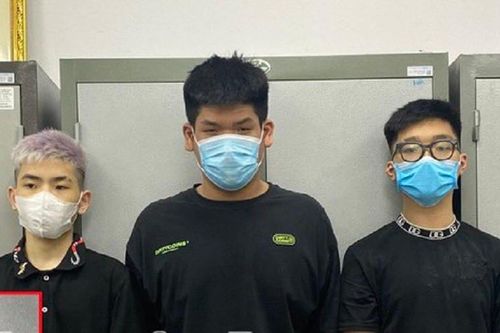Hà Nội: Tạm giữ hình sự 3 đối tượng mang theo hung khí chém một thiếu nữ trọng thương