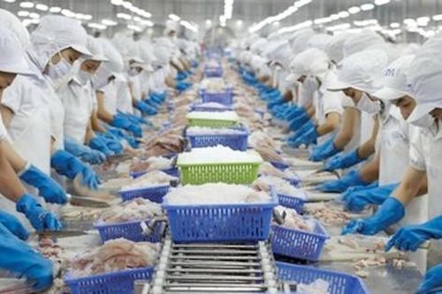 Xuất hiện 'quán quân thua lỗ' trên sàn chứng khoán