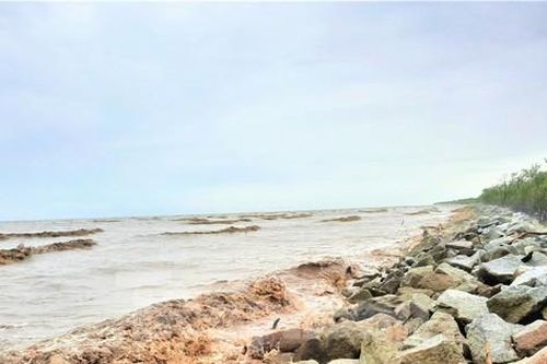 Cà Mau: Cần 5.000 tỷ đồng kè đê biển chống sạt lở