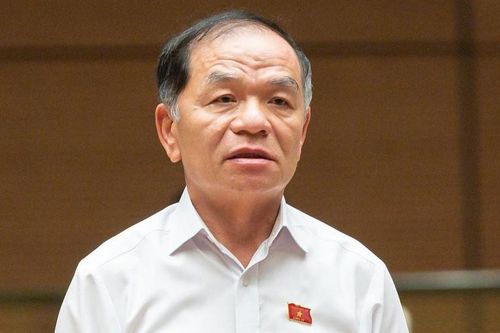 Đại biểu Lê Thanh Vân: 'Ai dám làm vì lợi ích chung, họ phải được bảo vệ'
