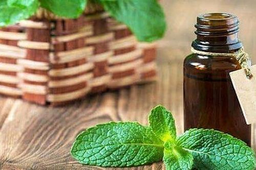 4 loại thảo mộc hỗ trợ khoang miệng luôn thơm mát, sạch khuẩn