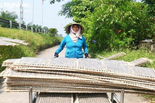 Nắng càng to, làng nghề bánh đa ở Nghệ An càng nhộn nhịp