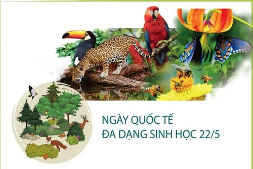 Thay đổi hành vi, thúc đẩy lối sống hài hòa với thiên nhiên