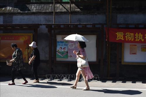 Nắng nóng gay gắt khiến châu Á ngày càng phụ thuộc năng lượng Nga