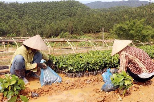 Ý kiến cán bộ, đảng viên: Đảm bảo an sinh xã hội, không ngừng nâng cao chất lượng đời sống của nhân dân