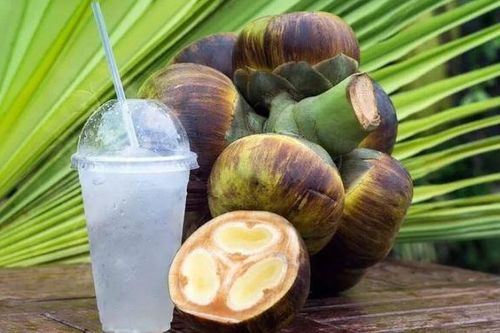 Thốt nốt giúp giải nhiệt và có nhiều lợi ích tốt đối với sức khỏe