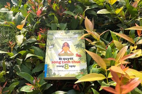 'Bí quyết sống tỉnh thức trong 8 ngày' – tấm bản đồ bước vào thế giới chánh niệm
