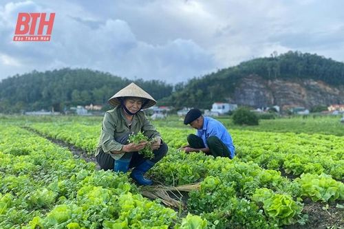Nâng cao hệ số sử dụng đất canh tác