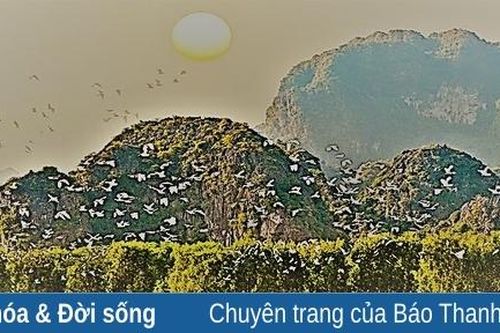 Ông Chột bảo vệ đàn cò