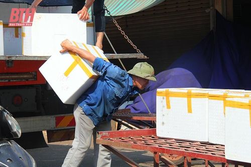 Người dân vất vả mưu sinh dưới trời nắng như 'đổ lửa'