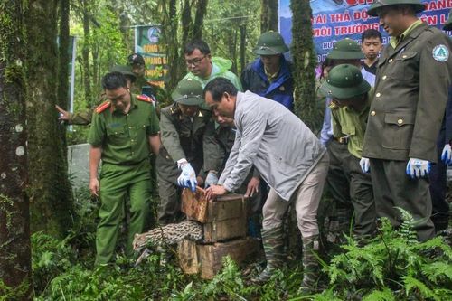 Bảo tồn đa dạng sinh học - vì một tương lai xanh