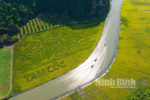 Hoa Lư kiểm tra công tác chuẩn bị Tuần Du lịch Ninh Bình