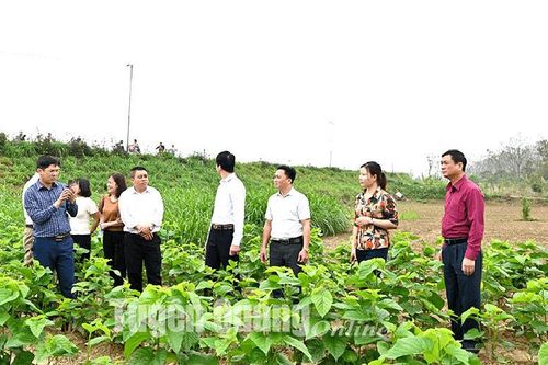 Đổi mới toàn diện, đồng bộ trong công tác cán bộ