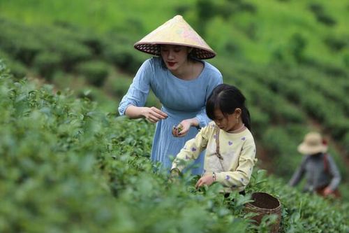 Bộ NN&PTNT: Tập trung triển khai các giải pháp phát triển du lịch nông nghiệp