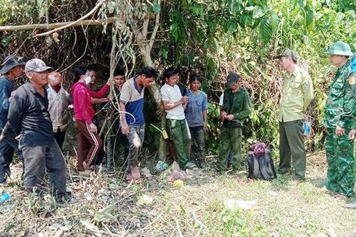 Đà Nẵng: Phát hiện một nhóm người khai thác lâm sản trái phép