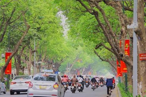 Cận cảnh những cung đường, tuyến phố xanh mát giữa 'chảo lửa' Hà Nội
