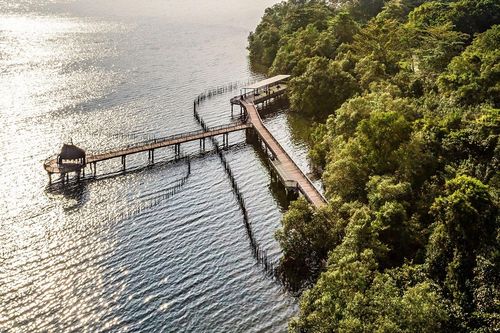 Rời nhịp sống thành thị, tìm bình yên chốn thiên nhiên tại Singapore
