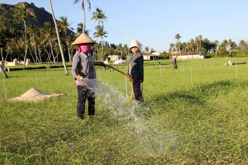 Đảo Lý Sơn 'khát' nước ngọt