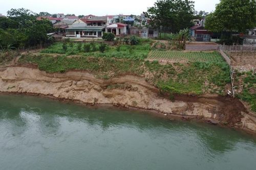 Phú Thọ: Đầu tư 15 tỷ đồng xử lý khẩn cấp sạt lở bờ vở sông Đà