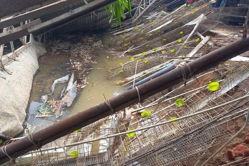 Tiền Giang: Một phần trại gà đổ sập xuống sông Tiền