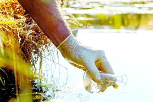 Bột khử trùng nước nhiễm khuẩn