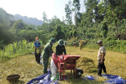 Mùa vàng trên dãy Trường Sơn