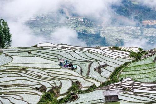 Vẻ đẹp Lào Cai mùa nước đổ