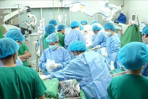 Thành phố Hồ Chí Minh: Vì sao Bệnh viện Nhi đồng 2 hoãn ghép tạng cho trẻ em?
