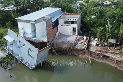 Liên tục sạt lở khu vực bờ kênh Cần Lố ở Đồng Tháp
