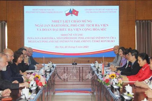 Thúc đẩy phát triển quan hệ hữu nghị và hợp tác Việt Nam - Séc