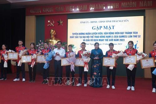 Thái Nguyên: Tuyên dương huấn luyện viên, vận động viên đạt thành tích cao