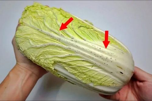 Mua cải thảo chọn cây xanh hay trắng ngon hơn: Người trồng chỉ cách chọn chuẩn, đảm bảo rau tươi sạch