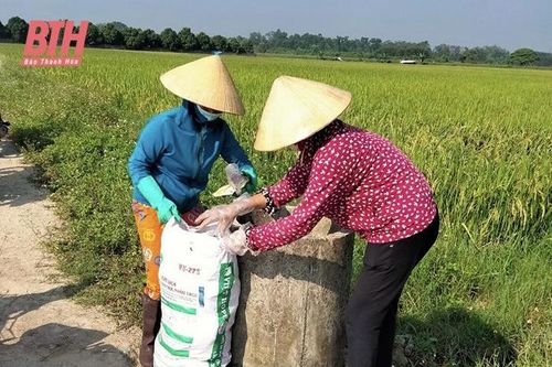 Nỗ lực phủ kín hệ thống bể chứa rác thải thuốc bảo vệ thực vật