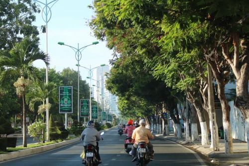 Thành phố những ngày nắng
