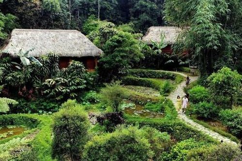 Top 5 địa điểm nghỉ dưỡng thân thiện, kết nối với thiên nhiên tại Việt Nam
