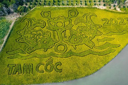 Sắp diễn ra Tuần du lịch Ninh Bình 2023