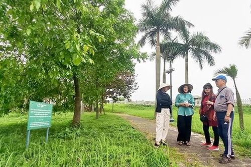 Xanh đôi bờ Hiền Lương – Bến Hải