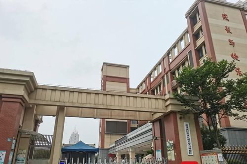 Học sinh ở Trung Quốc tử vong do bị thầy giáo lái xe tông trúng