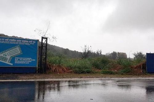 Hải Phòng: Kiến nghị thu hồi đất 'vàng' không sử dụng hiệu quả tại Đồ Sơn
