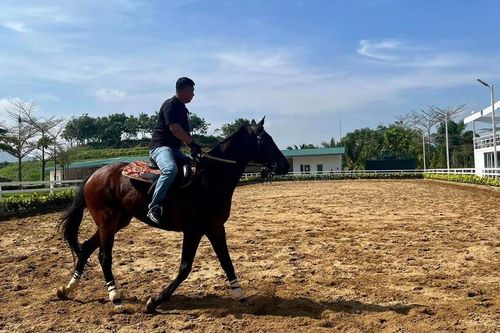 Cưỡi ngựa sẽ trở thành môn thể thao mới tại Việt Nam