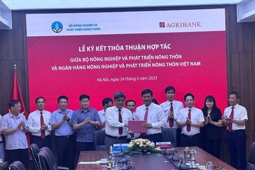 Tăng cường nguồn lực tín dụng cho nông nghiệp, nông dân, nông thôn