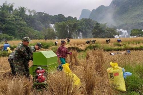 BĐBP gắn bó máu thịt với nhân dân khu vực biên giới (bài 2)