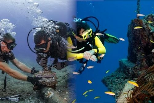 Đã khắc phục xong sự cố trên nhánh S1l thuộc tuyến cáp quang biển AAG