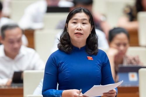 Phải quy định chặt chẽ công tác đấu thầu trong các trường hợp khẩn cấp