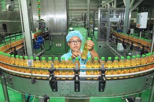 Doanh nghiệp 'phản pháo' hàng loạt quy định mập mờ, gây tốn kém