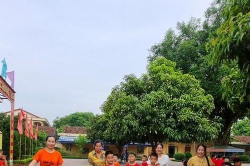 Nhà trường hái cả nghìn trái xoài trên sân tặng học sinh trong ngày tổng kết