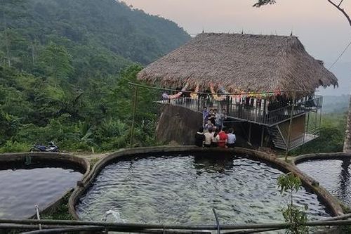Trải nghiệm thú vị rừng trúc, khu nuôi cá tầm ở Phiêng Phàng
